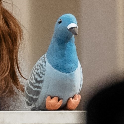 Profilová fotka Holuba Evžena